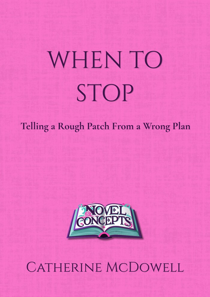 When to Stop — Telling a Rough Patch From a Wrong Plan — book cover